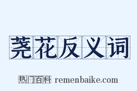 荛花反义词是什么意思的图片